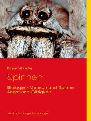 cover image of Spinnen